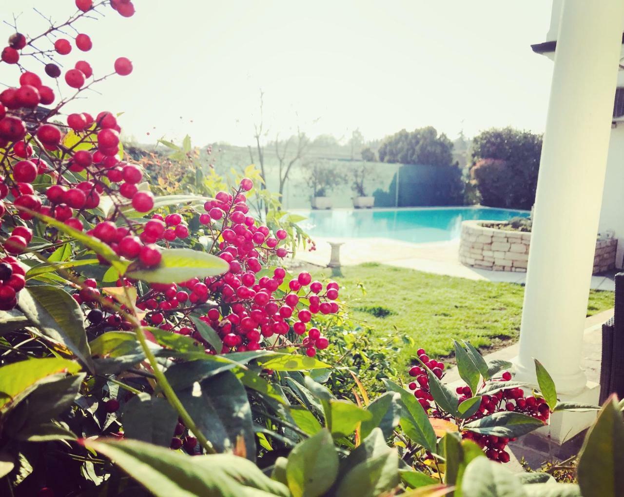 Maison Fortune Castelnuovo del Garda Ngoại thất bức ảnh